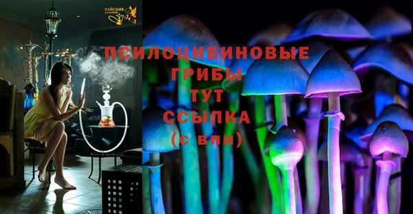круглые Арсеньев